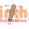 BI4-M12-LIU-H1141 - Cảm biến tiệm cận Turck